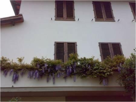 Vila Tre Cipressi Pontassieve Exteriér fotografie